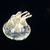 Profile picture small