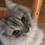 Profile picture small
