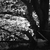 Profile picture small