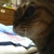 abby