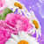 Profile picture small