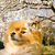 Profile picture small