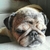 Profile picture small