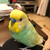 Profile picture small