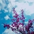 Profile picture small