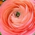 Profile picture small