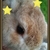 Profile picture small