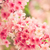 Profile picture small