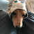 Profile picture small
