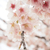 Profile picture small
