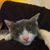 Profile picture small