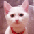 Profile picture small