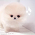 Profile picture small