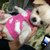 Profile picture small