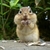 Profile picture small