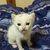 Profile picture small