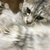 Profile picture small