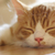 Profile picture small