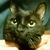 Profile picture small