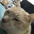 Profile picture small