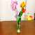 Profile picture small