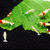 Profile picture small