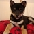 Profile picture small
