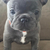Profile picture small