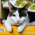 Profile picture small