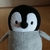 Profile picture small