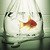 Profile picture small