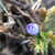 Profile picture small
