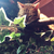 Profile picture small