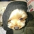Profile picture small