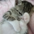Profile picture small