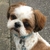 Profile picture small