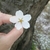 Profile picture small