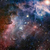 Profile picture small