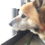 Profile picture small