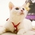 Profile picture small