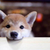 Profile picture small