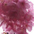 Profile picture small