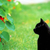 Profile picture small