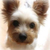 Profile picture small