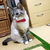 Profile picture small