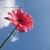 Profile picture small