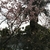 Profile picture small