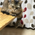 Profile picture small