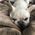Profile picture small