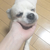 Profile picture small